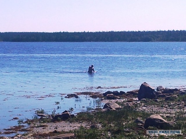 Водный поход по Карелии