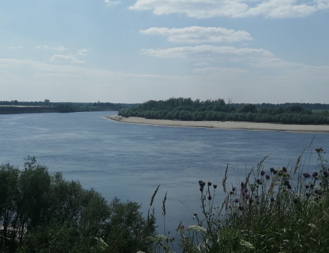 Баб в твиттере* спросили, что самого мерзкого делали их мужики