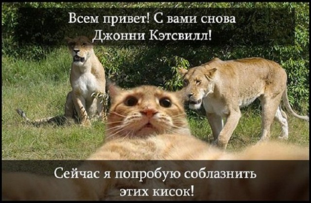 Картинки и мемы для настроения - 125