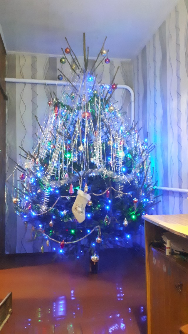 Выкладывайте свои елки!