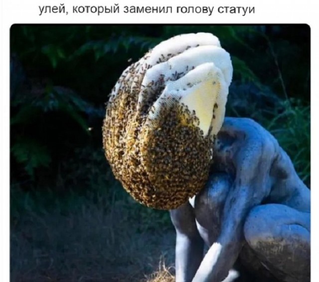 И так бывает