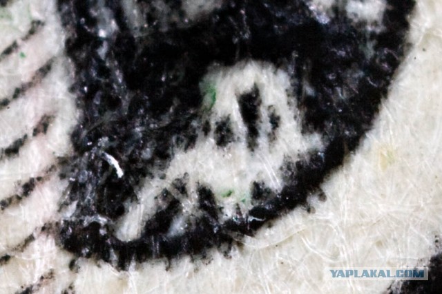 У гроба Папы Иоанна Павла II