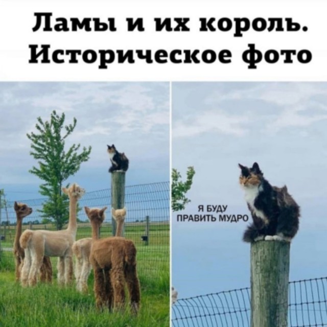 Так себе картинки 11.04.23