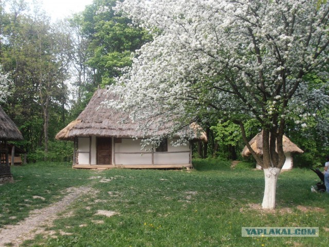 Мыльница