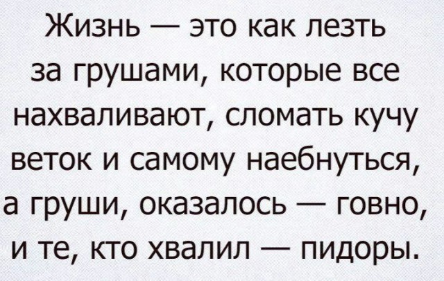 Всего понемногу. От 08.12.23