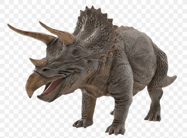 Отряд быстрого деградирования