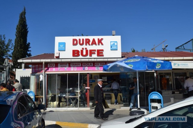 В сети нашли турецкую логистическую компанию с идеальным названием — Durka Logistics.