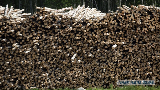 Китай согласится на импорт пеллет, если Россия возобновит экспорт кругляка