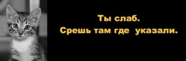 Всего понемногу. От 17.06.2024