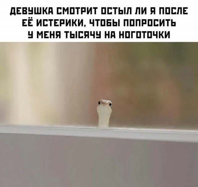 Сборник бабаянов или неожиданная помойка от Неждалигады