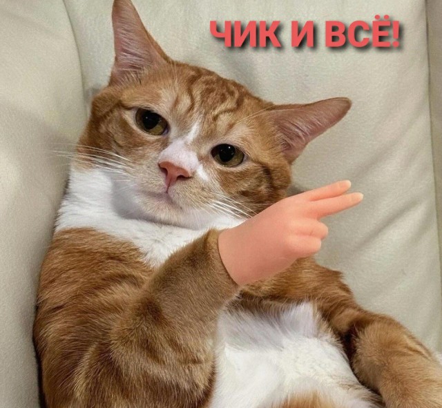 Обрубок? Обрезок? Огрызок? Нет - "квартира-студия" называется