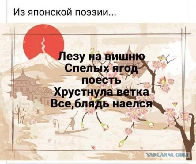 Ростовский дед так яростно защищал свою черешню, что обстрелял 13-летних школьниц, которые на нее покусились