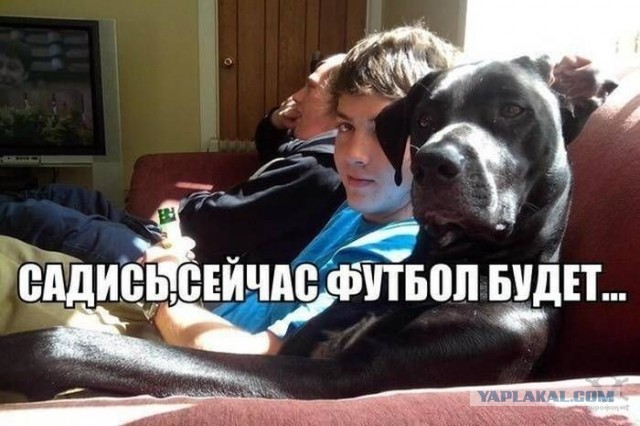 Че, какие-то проблемы?