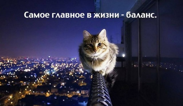 Пятничные картинки