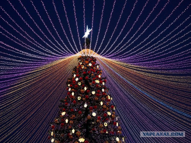 сам нарвался