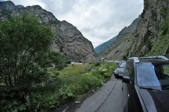 Абхазия (море), Армения (абрикосы)
