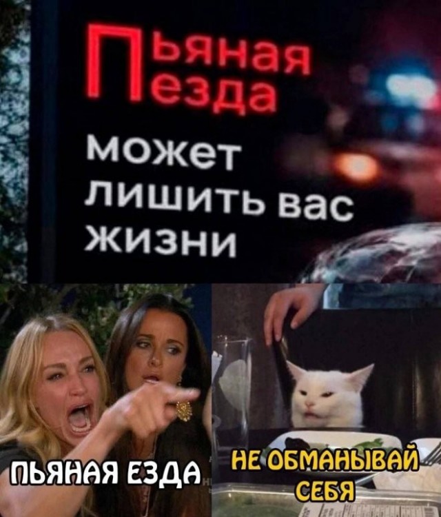 Веселые картинки в понедельник (12.10)