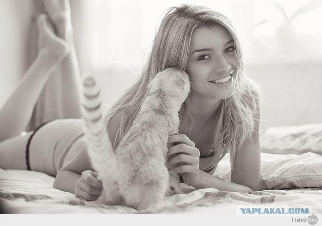Свежие картинки из сети