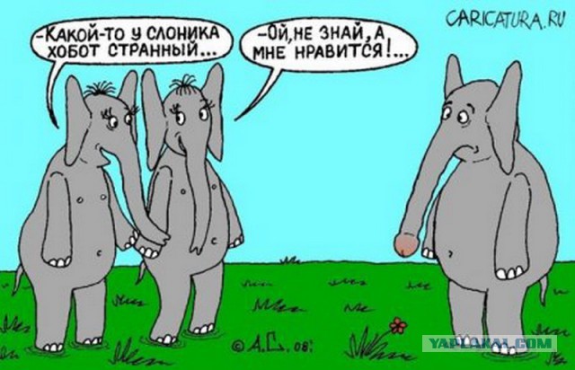 Веселые картинки, пятница.