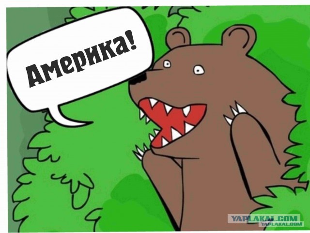 Америка - красивая страна, жаль досталась дуракам!