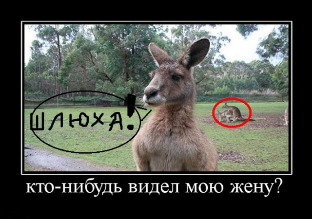 История проститутки: "Как я работала в борделе..."
