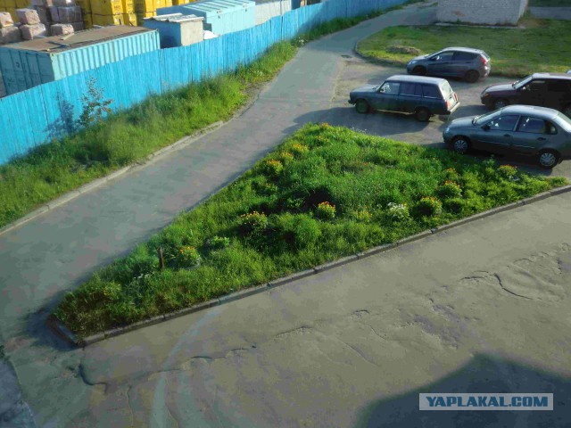 Клумбочка