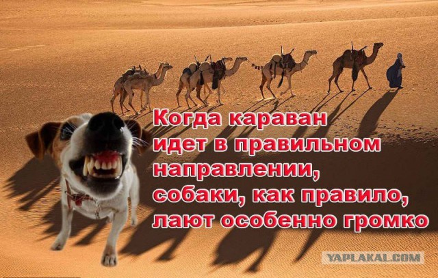 Российские войска в Сирии — это слабость Путина