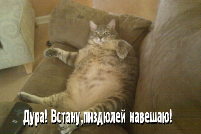 Настоящая ЯПовчанка