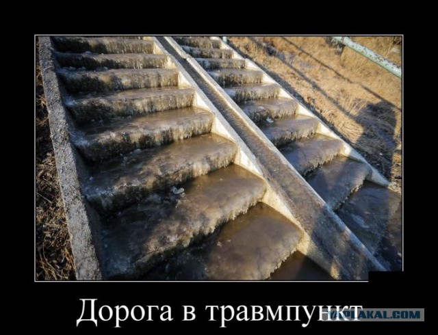 Подборка веселых картинок