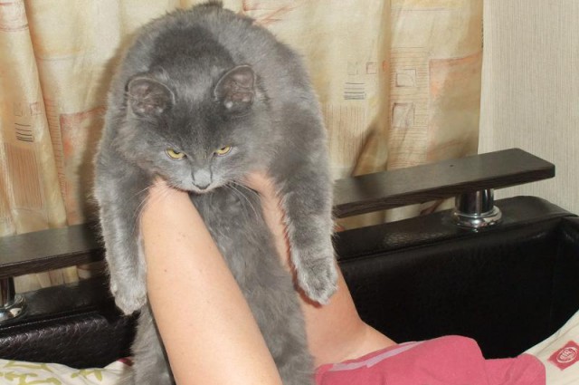 Снова про алкоголь