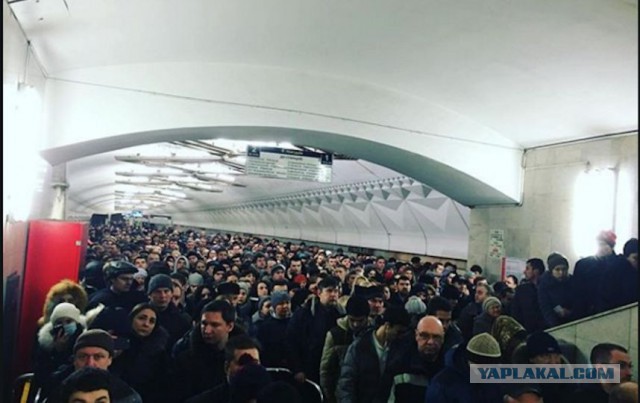 В росте цен на российских курортах обвинили отдыхающих