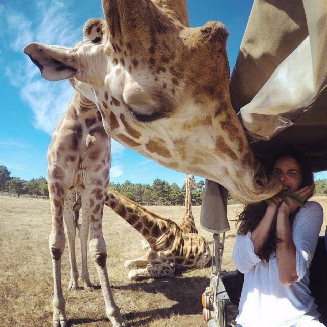 Подборка картинок 29.03.16