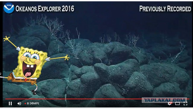 Началась онлайн-трансляция происходящего в самом глубоком месте Земли