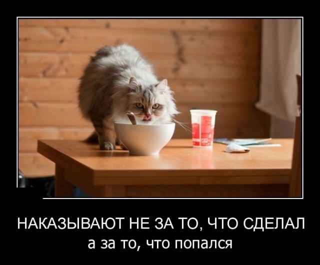 Субботняя подборочка картинок