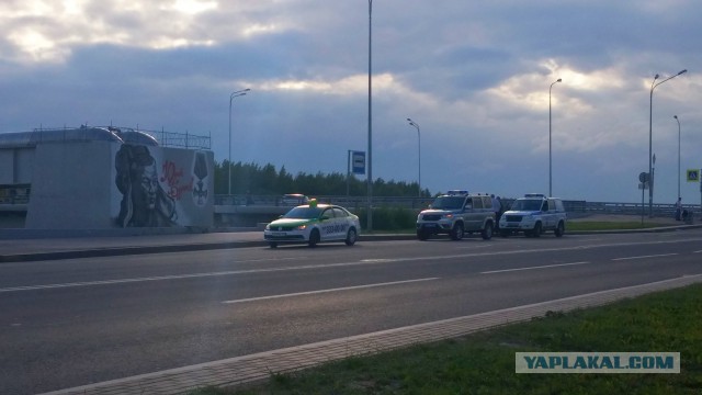 Охрана Будановского моста в Питере