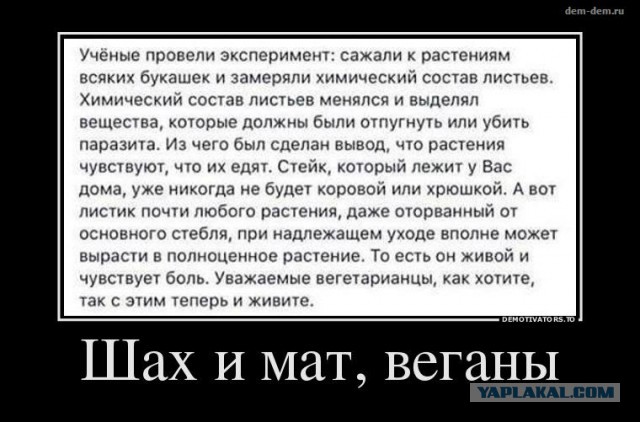 Отказалась употреблять рвоту пчел