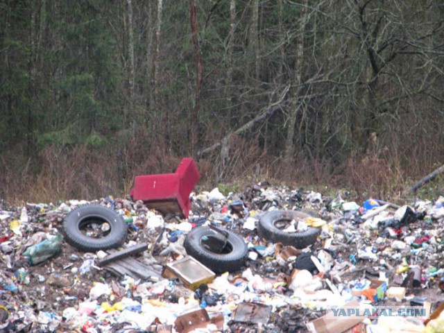 Ещё немного о гектаре на Дальнем Востоке