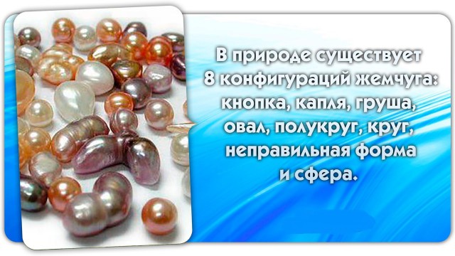 56 неожиданных фактов о большинстве которых вы не знали.