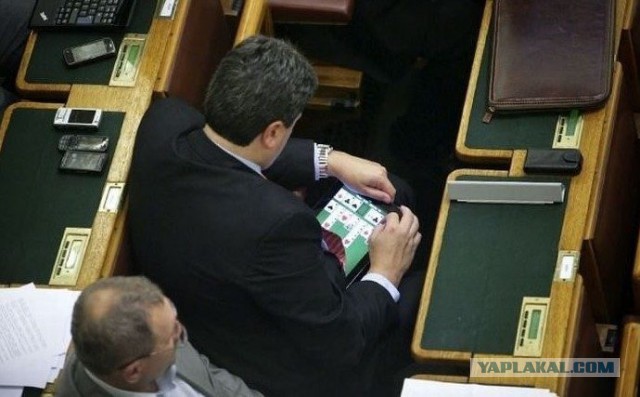 Ох и нелёгкая эта работа - быть депутатом