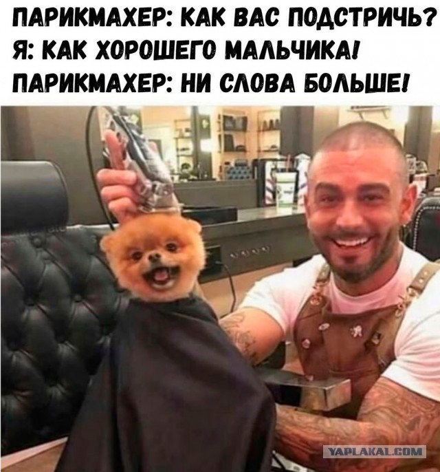 Немного деграданса