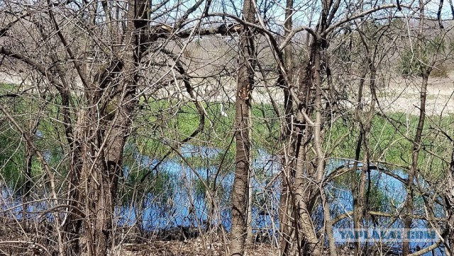 Просто Природа