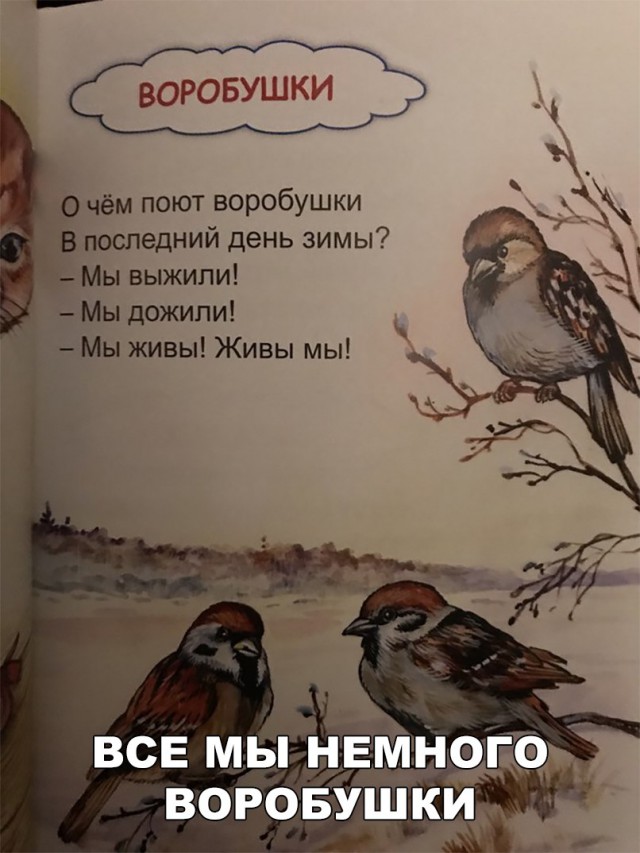 Прикольные картинки обо всём