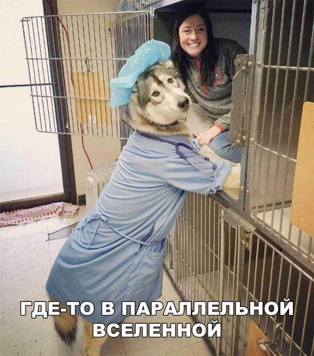 Нестандартный юмор