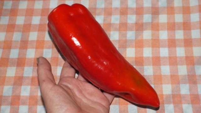 Сырники
