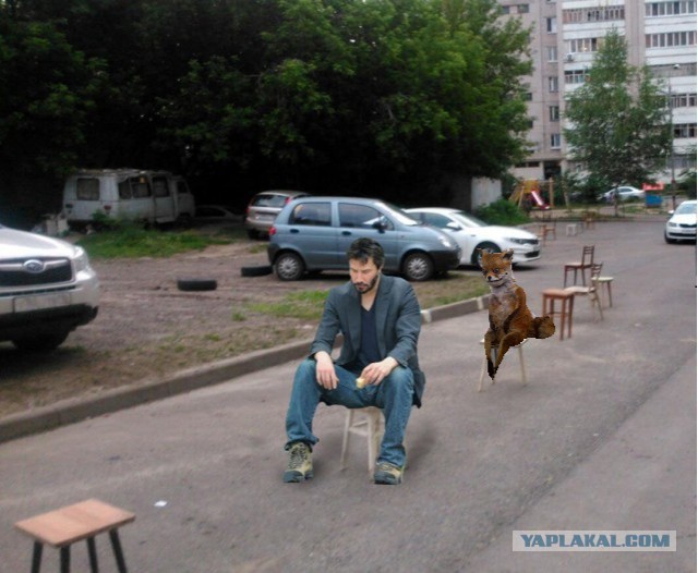 Парковочный вопрос всех испортил