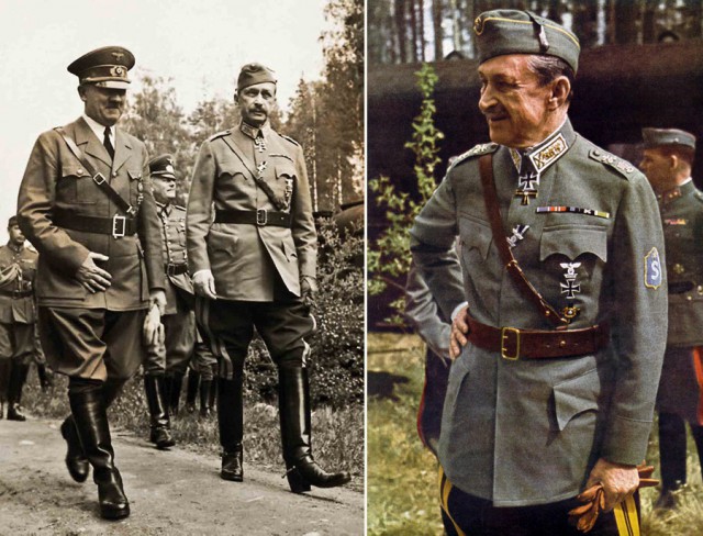 Маннергейм головного мозга.