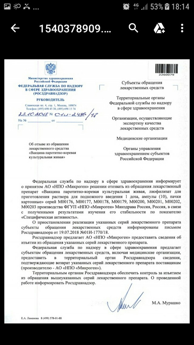 Смертоносная глупость