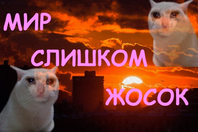 За всё ЖКХ заплатят русские.