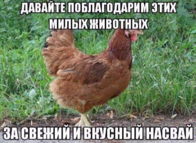 Картинки на воскресный день