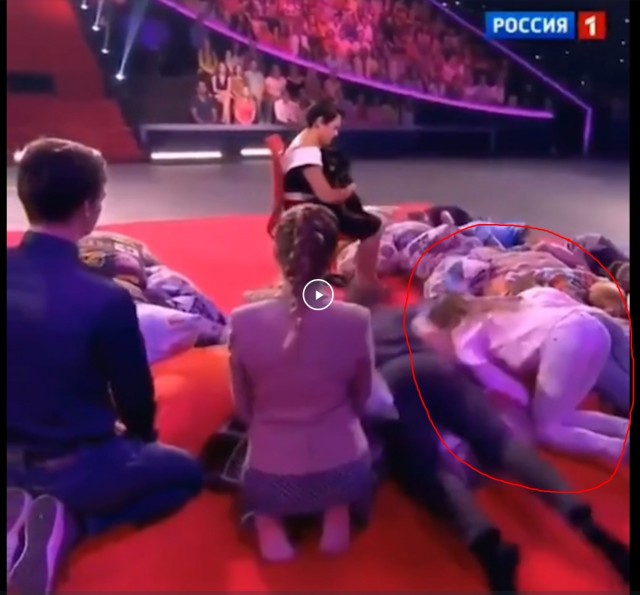 Не смотрите им в глаза! Гипнотизирующие собаки на федеральном ТВ